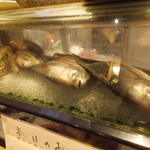 喜助 - ネタケース