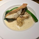 シュヴァル・ドゥ・ヒョータン - 