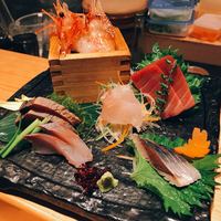 宇田川 紫扇 - 
