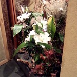 はなれ 味重 - 花が、活けてあります。