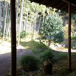 そば処　古庵 - 以前と変わらぬ竹林