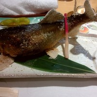 柳家錦 - 