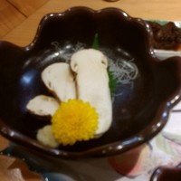 柳家錦 - 