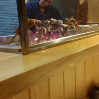 柳家錦 - 