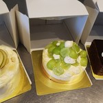 ジャポネ/シャインマスカットフロマージュ/テリーヌショコラ