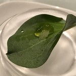 モンドヴィーノ - 