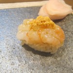 鮨 猪股 - 鬼エビ