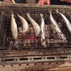 津軽海峡鮮魚店