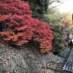 高尾山キッチンむささび - リフトからの紅葉