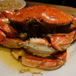 CRUSTACEAN - 