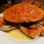 CRUSTACEAN - 