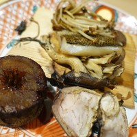 馳走 陽雅 - 