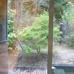 フォレスト イン ボン - 