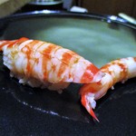 寿しの吉乃 - 車海老：茹でたてでプリプリです。車海老の紅白の模様が美しく、食べるのがもったいないくらいですネ！