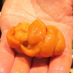 寿しの吉乃 - 雲丹：雲丹の箱が 赤と金で、もうお正月がやってきたようでした。シャリが口の中で解けて、その隙間に浸み込んでいく感じです。　し・あ・わ・せ ・・・。