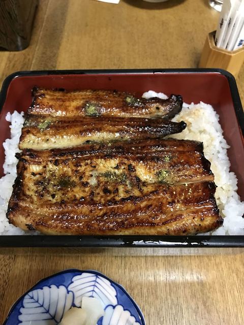 鮒与 ふなよ 代々木上原 うなぎ 食べログ 鮒与 ふなよ 代々木上原 うなぎ 食べログ