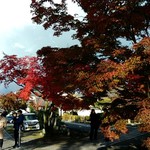 Higuchitei - 食べ終わって、真如堂の紅葉です！！