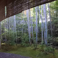 美濃吉本店 竹茂楼 - 