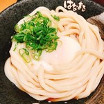 Hanamaru Udon - 温玉ぶっかけの冷やし