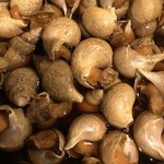 ひ暮らし - つぶ貝旨煮