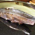 寿しの吉乃 - イワシ：脂の乗りも良く、泳いでいるイワシを更に置いたような錯覚に捕らわれるのは私だけでしょうか？
