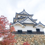 Tokuyamazushi - 彦根城