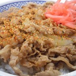 Yoshinoya - 牛丼(並)on七味＆紅しょうが