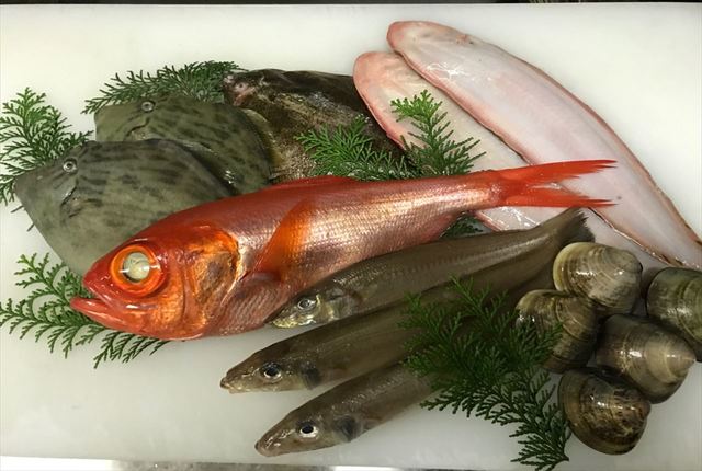 これまでで最高の魚 伊佐 最高の花の画像
