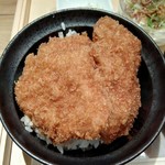 新潟カツ丼 タレカツ - かつ丼