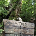 SANKARA HOTEL&SPA 屋久島 - 