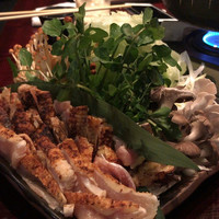 鳥ばか一代 - 