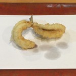 江戸前晋作 - めごち