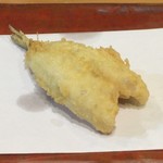 江戸前晋作 - 鱚