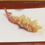 江戸前晋作 - 車海老（レア）