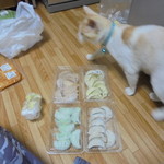 チャウチャウ - 冷凍です