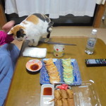 チャウチャウ - トマト・しそ