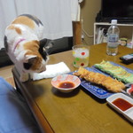 チャウチャウ - トマト・しそ