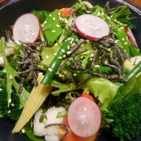今福 - 彩り野菜のサラダ