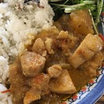 東新宿 サンラサー - 「冬瓜とチキンのカレー」