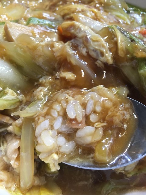 Poplar Kan Nagarekawa Ten photo 2