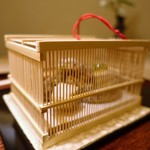 恵比寿 くろいわ - 4