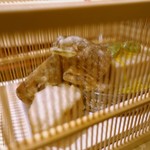 恵比寿 くろいわ - 5