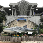 ブルーマンタ - 美ら海水族館
