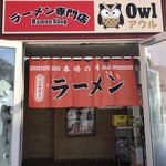 Owl - 