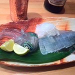 墨や - 徳島のアオリイカ