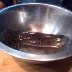 墨や - 大将が調理するイカを見せてくれはります。イカちゃん、ギュギュって鳴かはります。