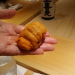 鮨 さかい - 雲丹