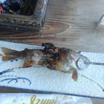 金太郎自然園 - 