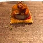 ジョンティ アッシュ - 