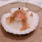 ジョンティ アッシュ - 